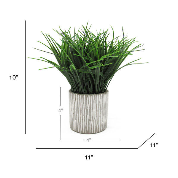 Gracie Oaks 10'' Artificial Grass in Pot & Reviews Wayfair
